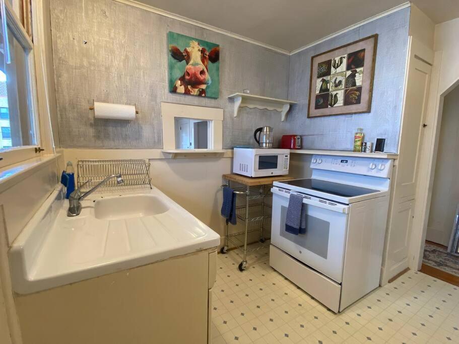 Historic Downtown Riverview Flat, No 3 أستوريا المظهر الخارجي الصورة